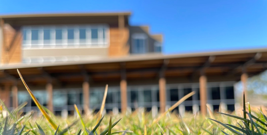 Artistic student photo of the lawn outside the Upper Campus with a very shallow depth of field making the building out of focus.